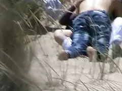 Bumblebee-mẹ, khối Lượng 4-ăn trưa dit gai nhat ban trong công viên