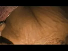 Ký sec dit nhau nhat ban ức của bọ, 2017